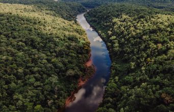 Un viaje a la imponente Reserva de Biósfera Yabotí