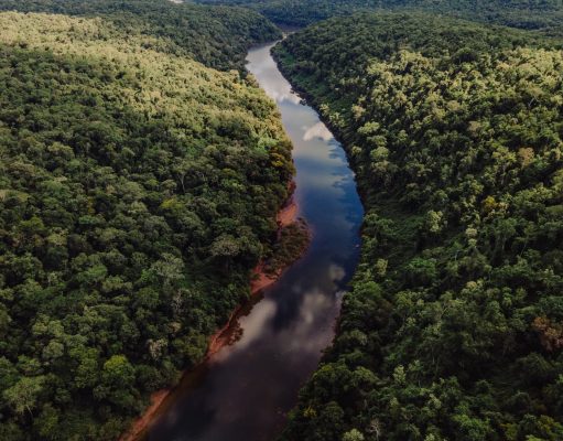 Un viaje a la imponente Reserva de Biósfera Yabotí