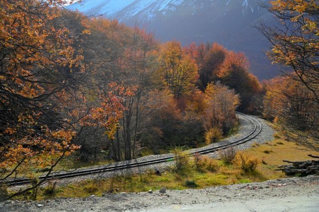 las vías del tren del fin del mundo