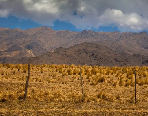 Flashes desde los valles calchaquíes