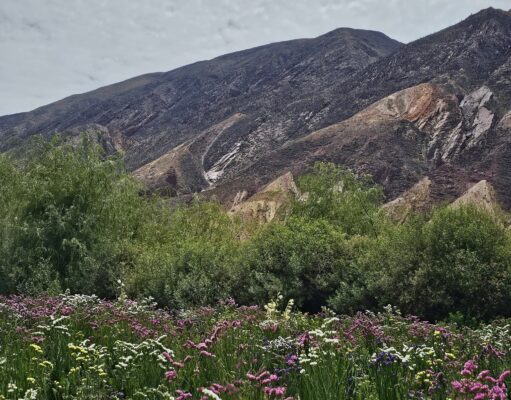 El mejor pueblo del mundo en 2025 es argentino Foto: Facebook.com/turismo.maimara