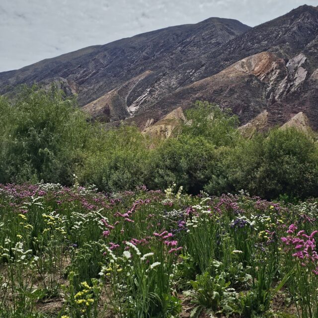 Foto: Facebook.com/turismo.maimara