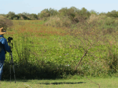 La oferta turística de Santa Fe en un mapa interactivo