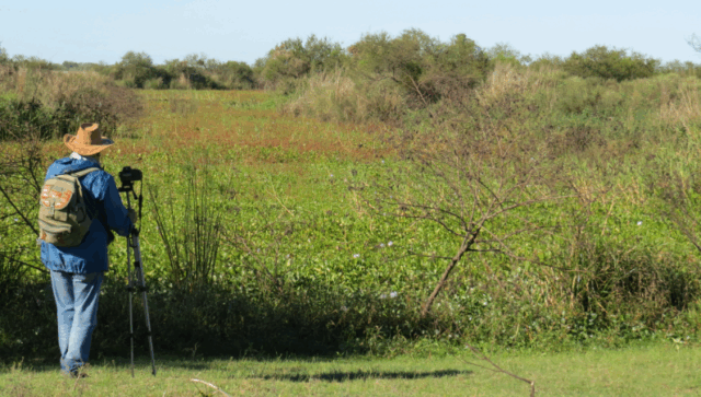 Captura de pantalla 2025-12-02 120110