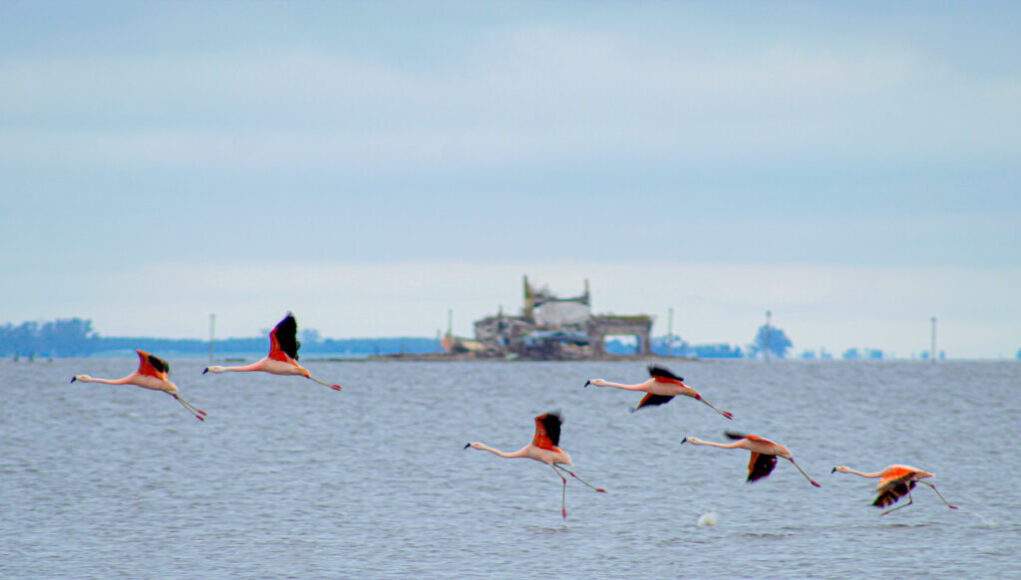 Foto: Turismo de Santa Fe