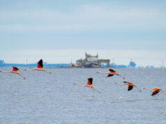 Foto: Turismo de Santa Fe