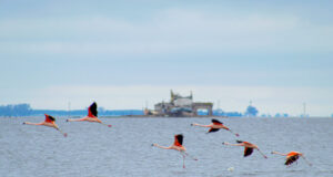 Foto: Turismo de Santa Fe