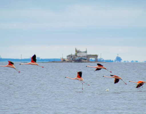 Foto: Turismo de Santa Fe