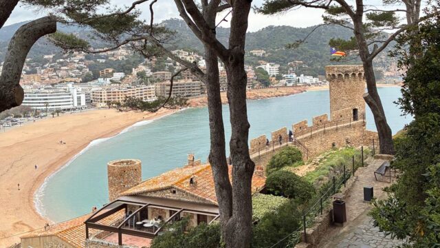 WhatsApp Image 2026-03-23 at 09.46.38 (1)